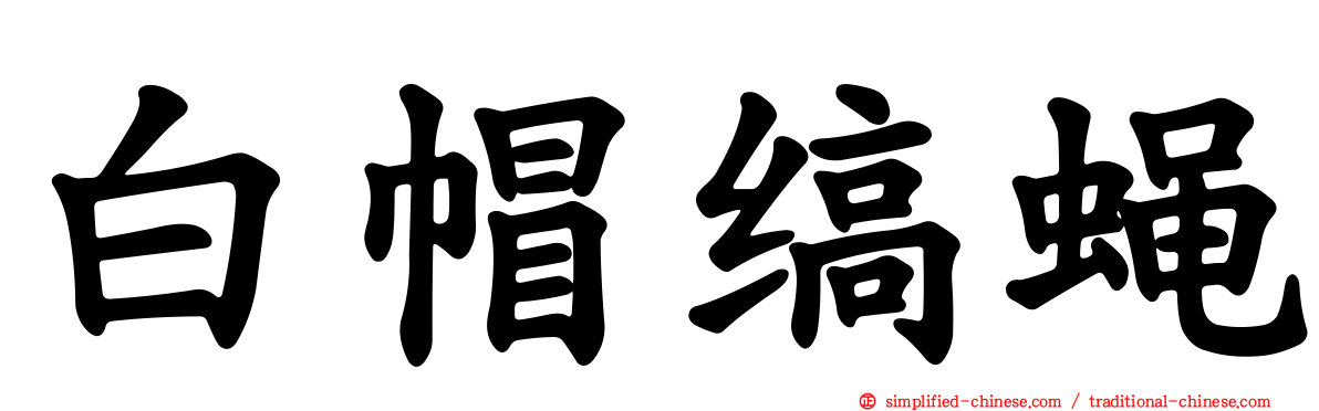 白帽缟蝇