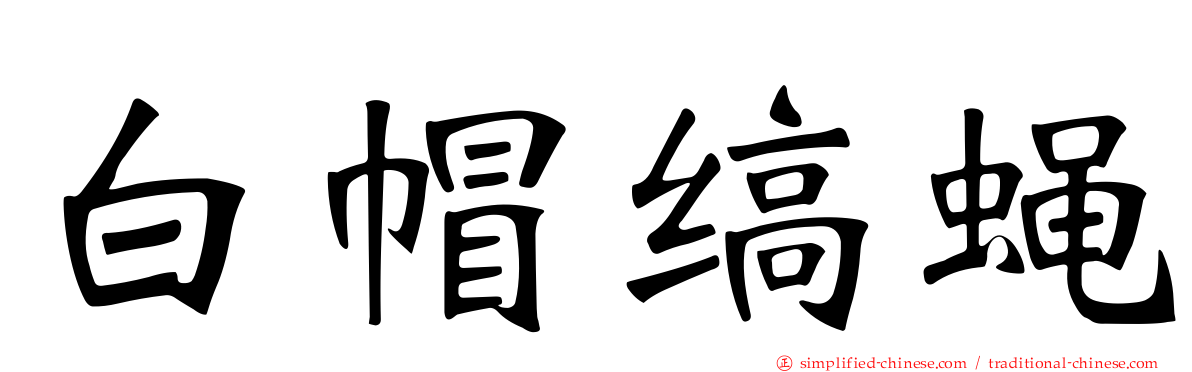 白帽缟蝇