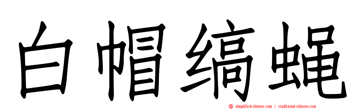 白帽缟蝇