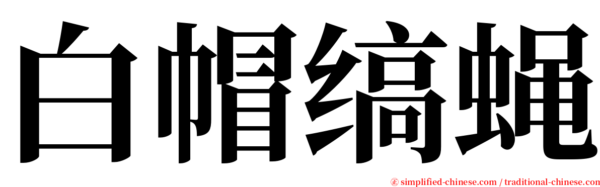 白帽缟蝇 serif font