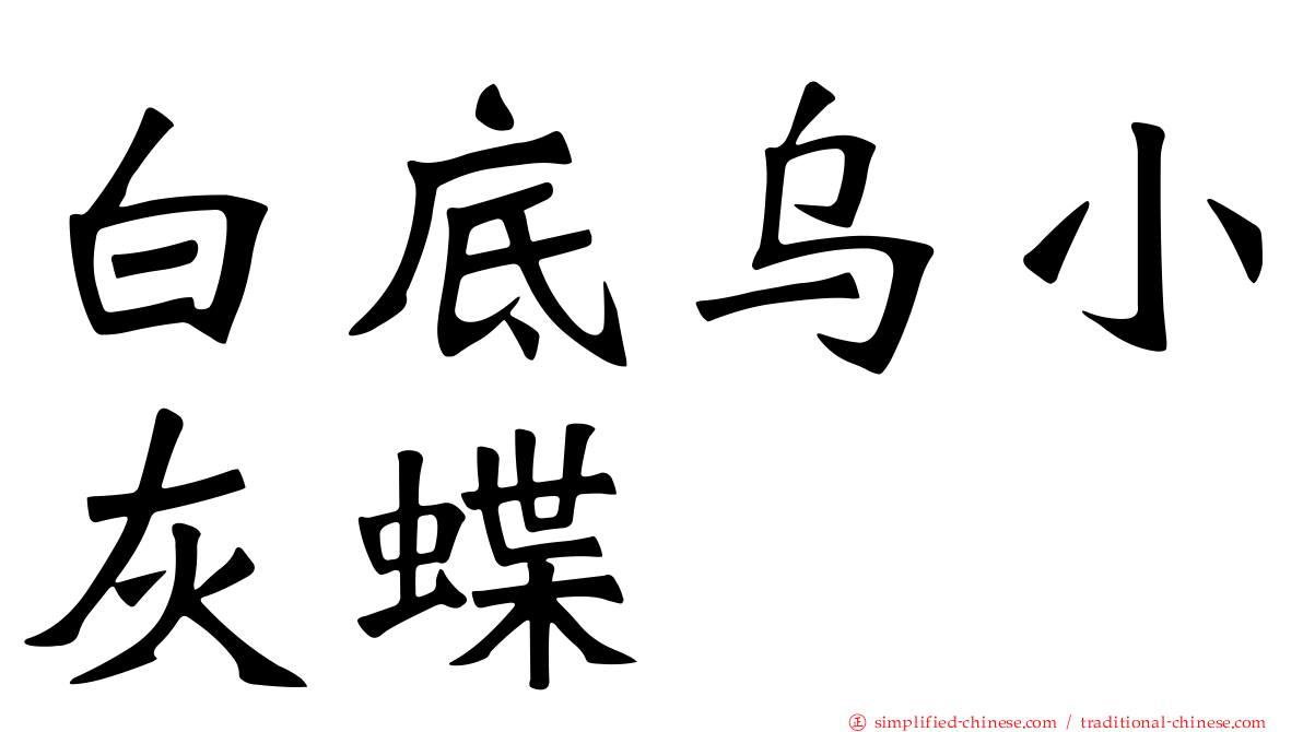 白底乌小灰蝶
