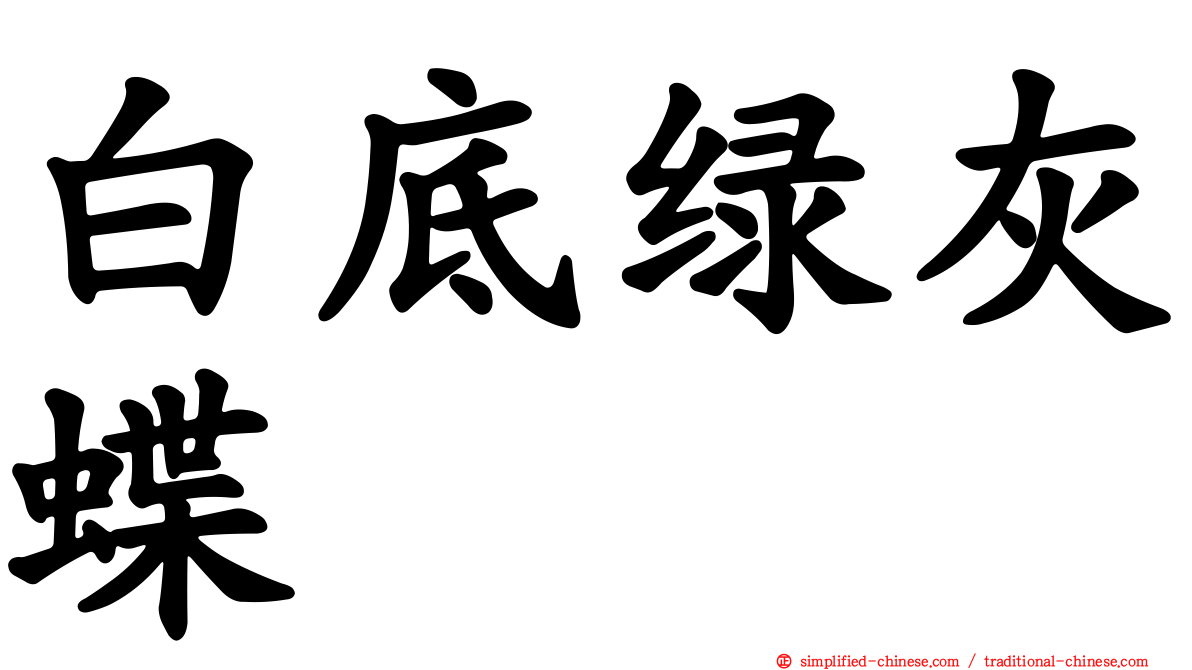 白底绿灰蝶