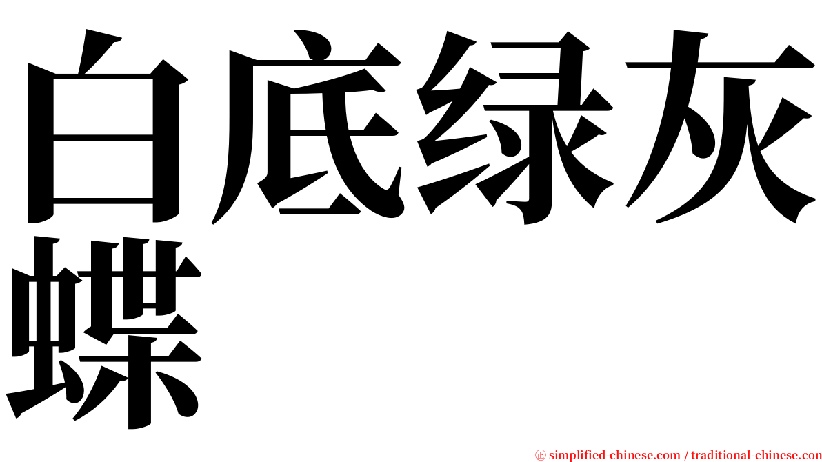 白底绿灰蝶 serif font