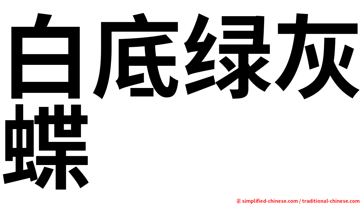 白底绿灰蝶