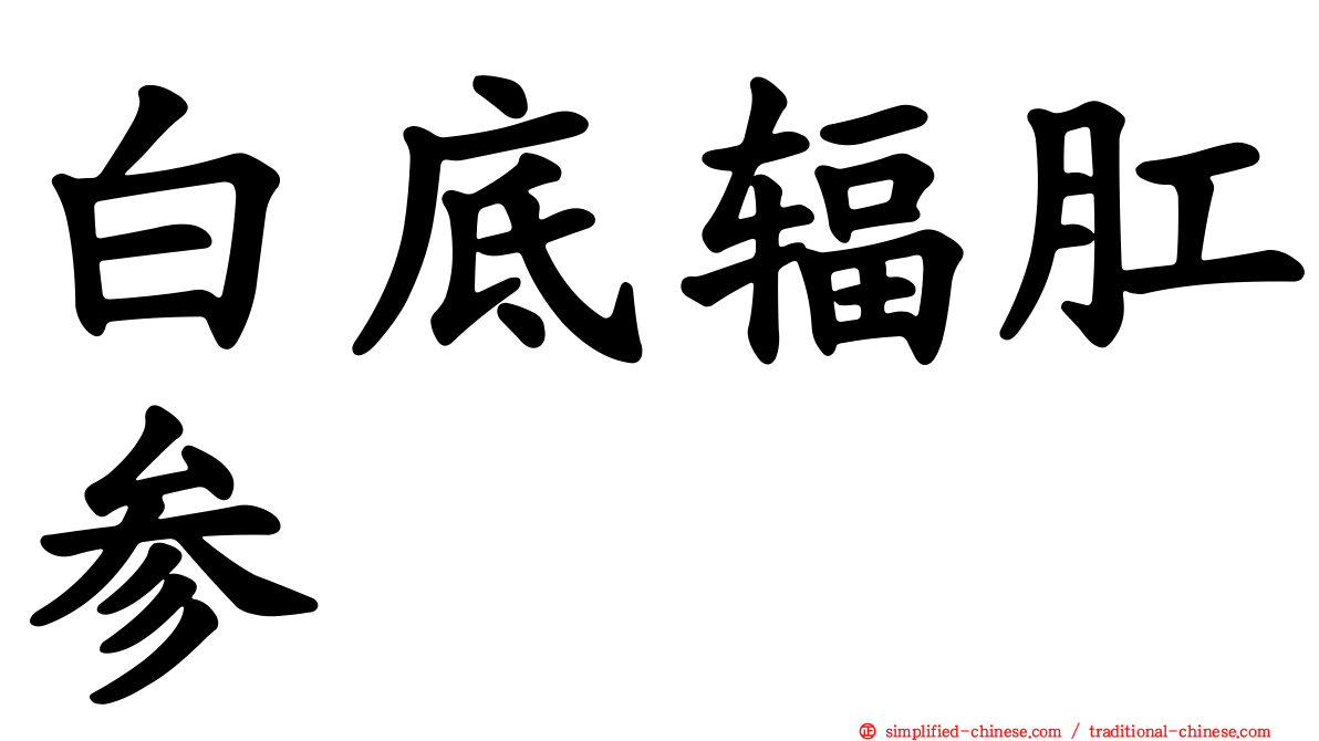 白底辐肛参