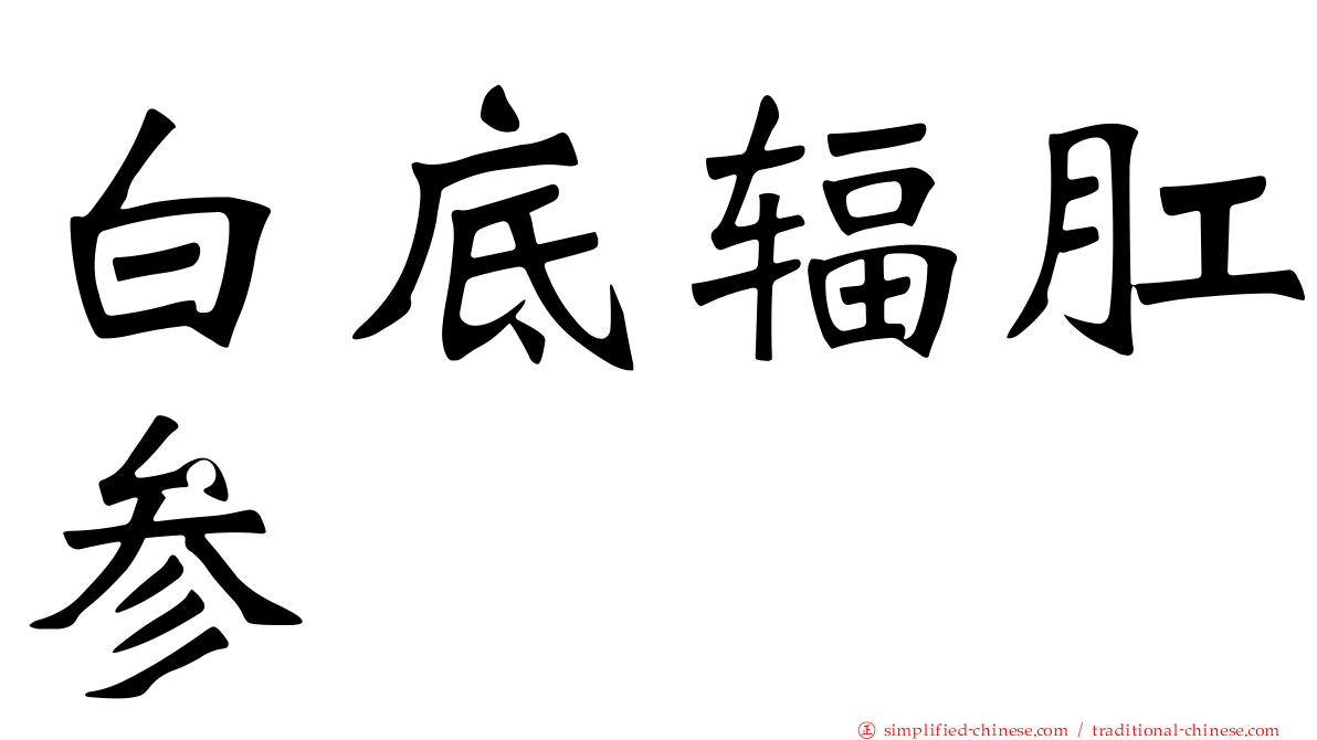 白底辐肛参