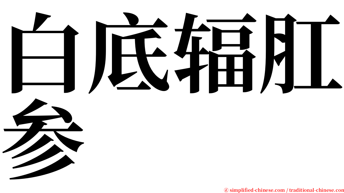 白底辐肛参 serif font