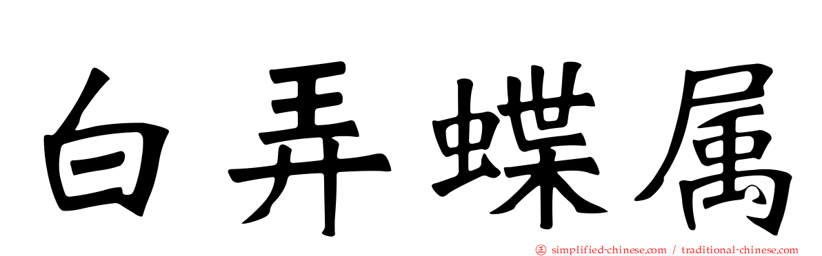 白弄蝶属