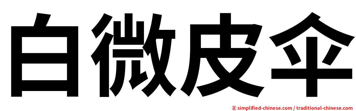 白微皮伞