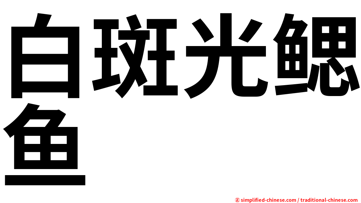 白斑光鳃鱼