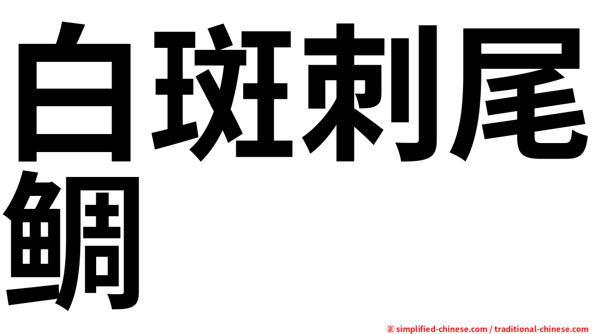 白斑刺尾鲷