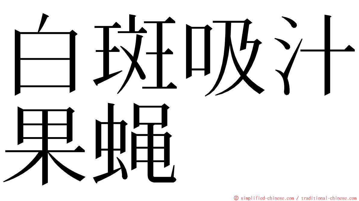 白斑吸汁果蝇 ming font