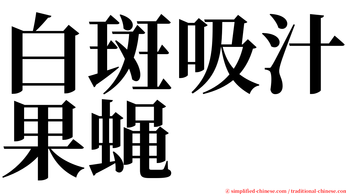 白斑吸汁果蝇 serif font