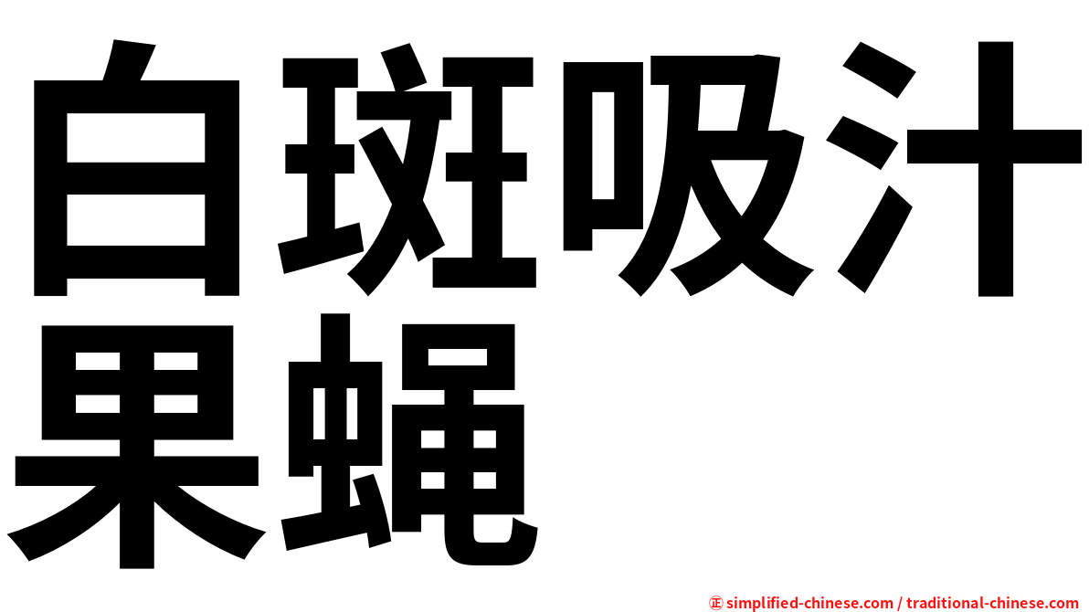 白斑吸汁果蝇