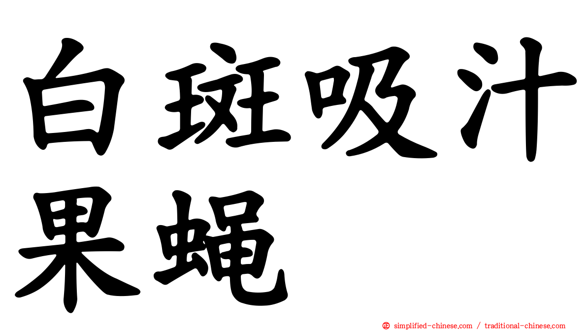 白斑吸汁果蝇