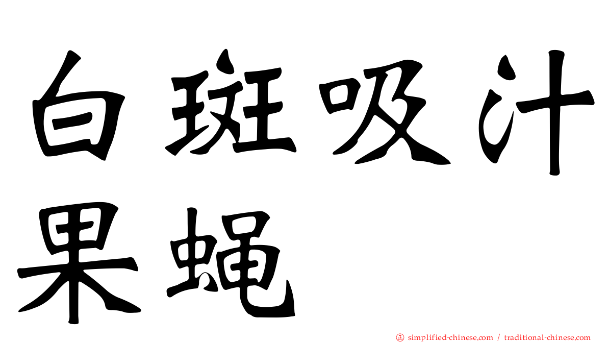 白斑吸汁果蝇