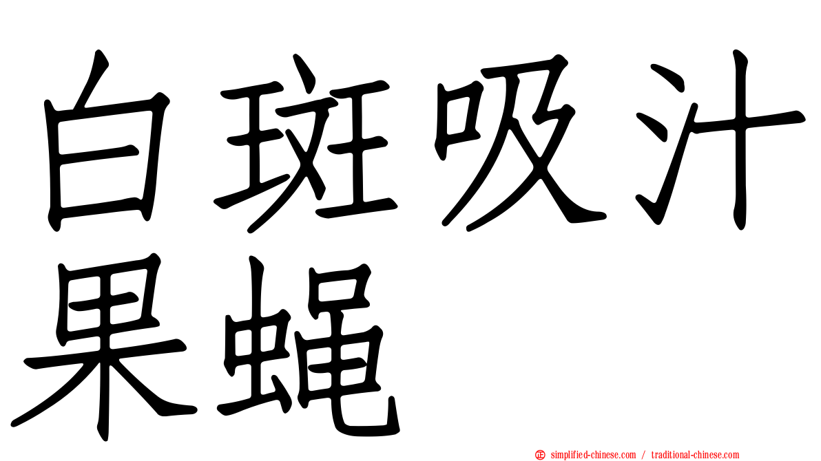 白斑吸汁果蝇