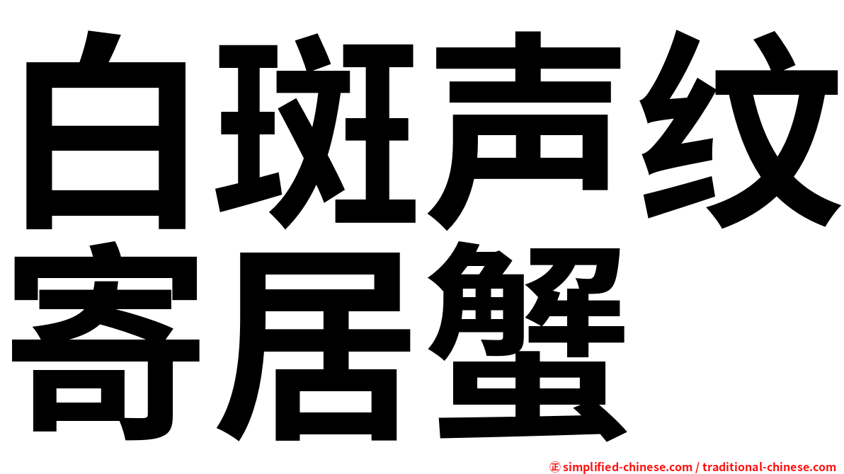 白斑声纹寄居蟹