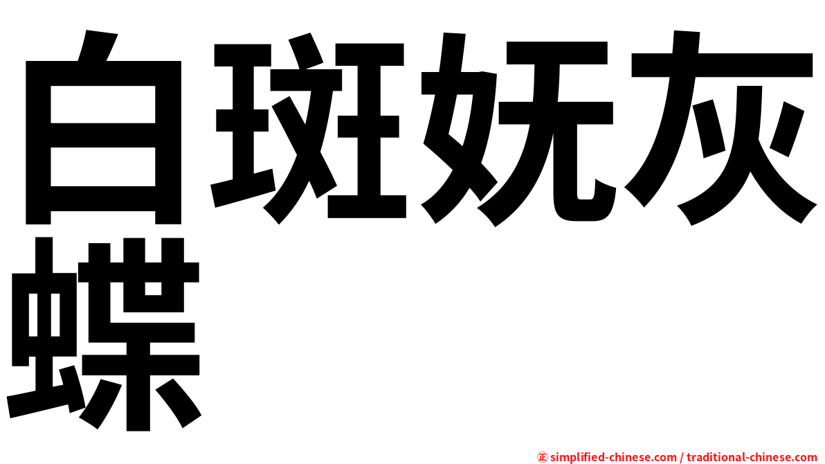 白斑妩灰蝶