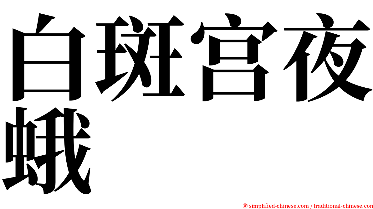 白斑宫夜蛾 serif font