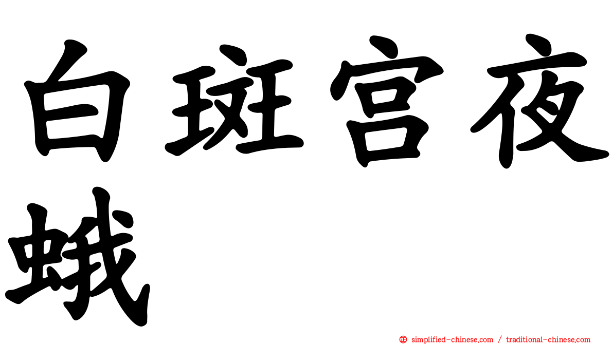 白斑宫夜蛾