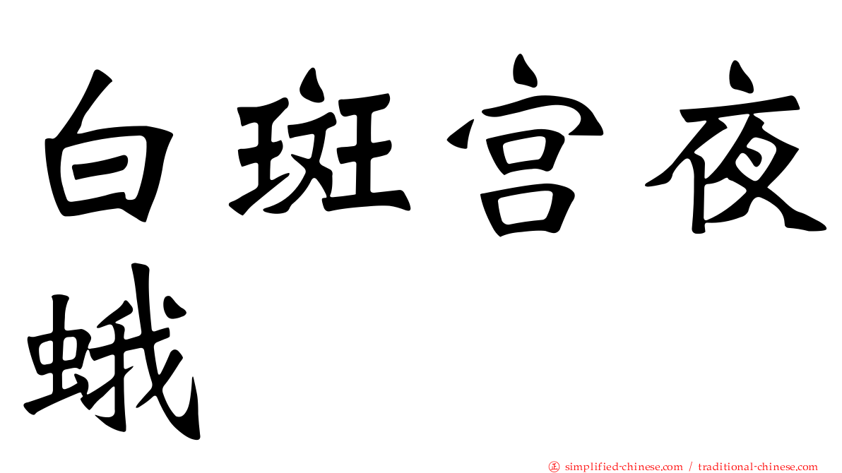 白斑宫夜蛾