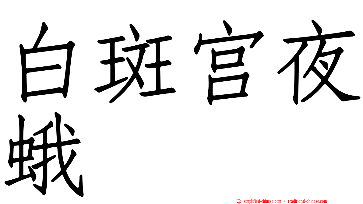 白斑宫夜蛾