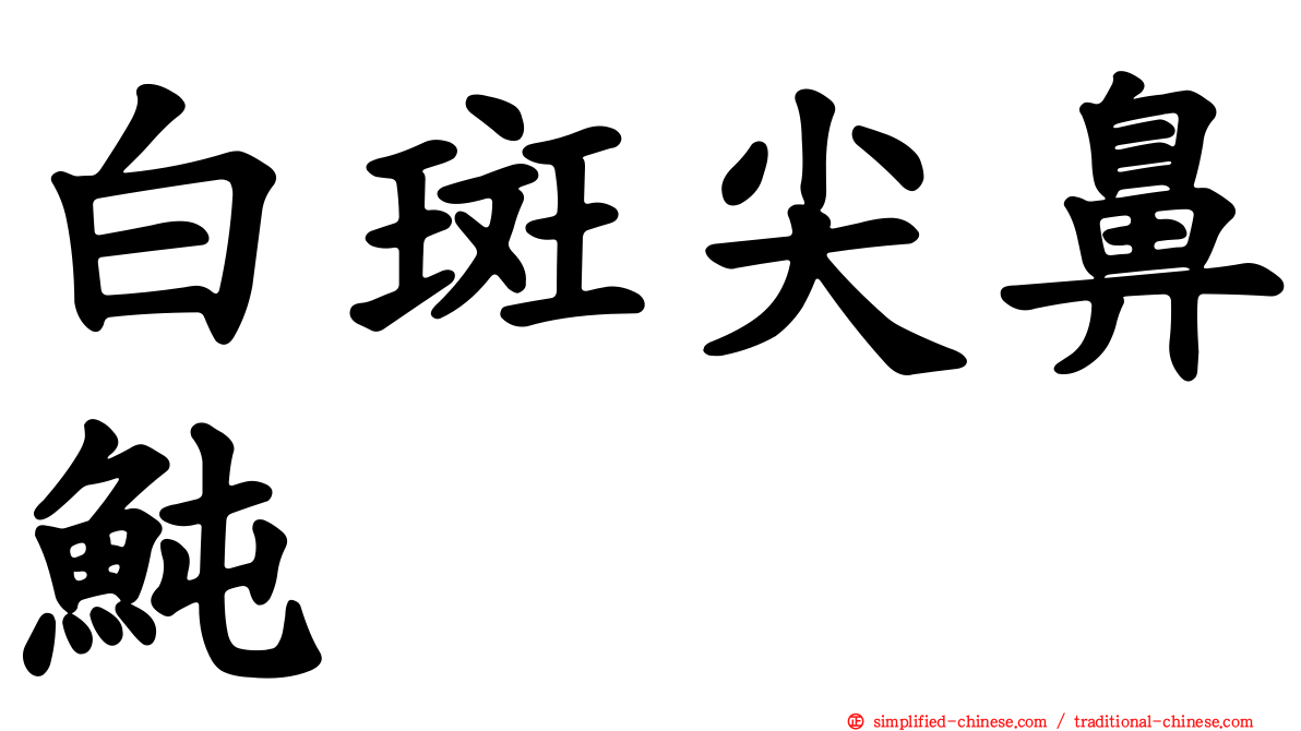 白斑尖鼻鲀