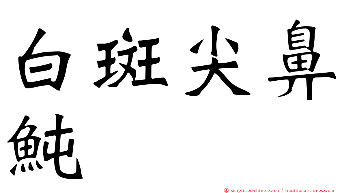白斑尖鼻鲀