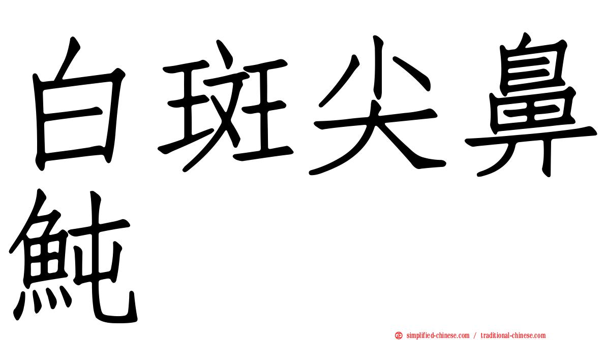 白斑尖鼻鲀