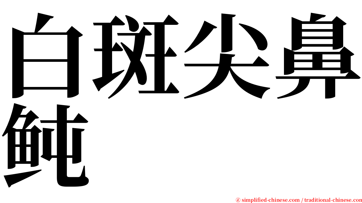 白斑尖鼻鲀 serif font