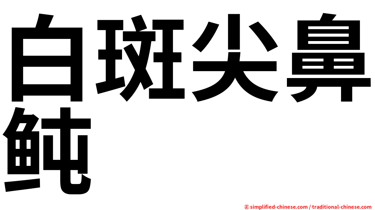 白斑尖鼻鲀