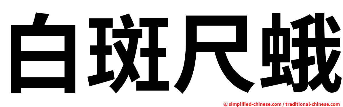 白斑尺蛾
