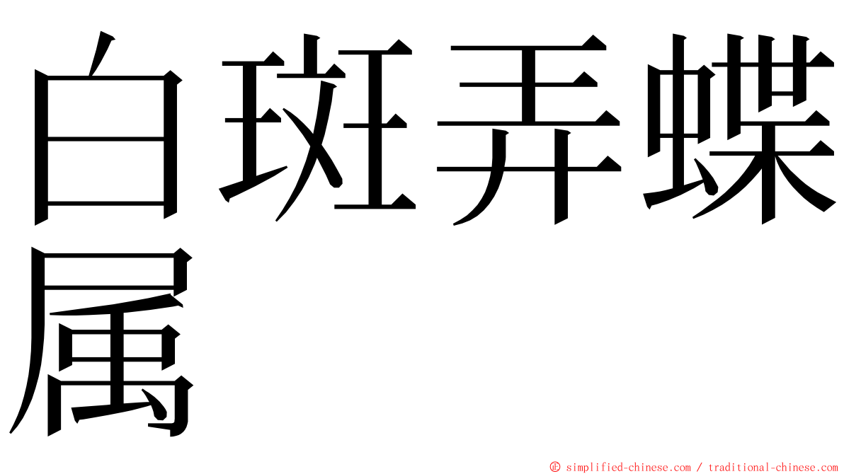 白斑弄蝶属 ming font