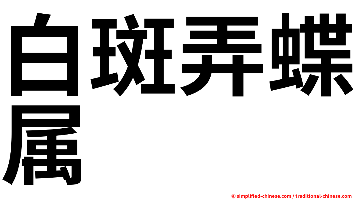 白斑弄蝶属