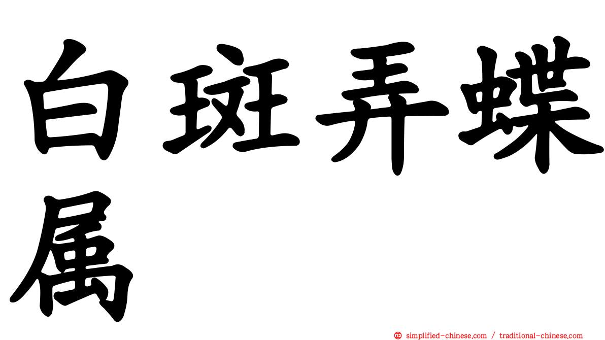 白斑弄蝶属