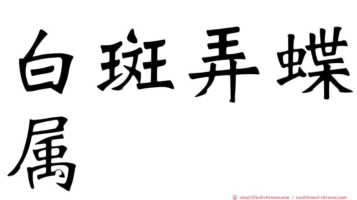 白斑弄蝶属