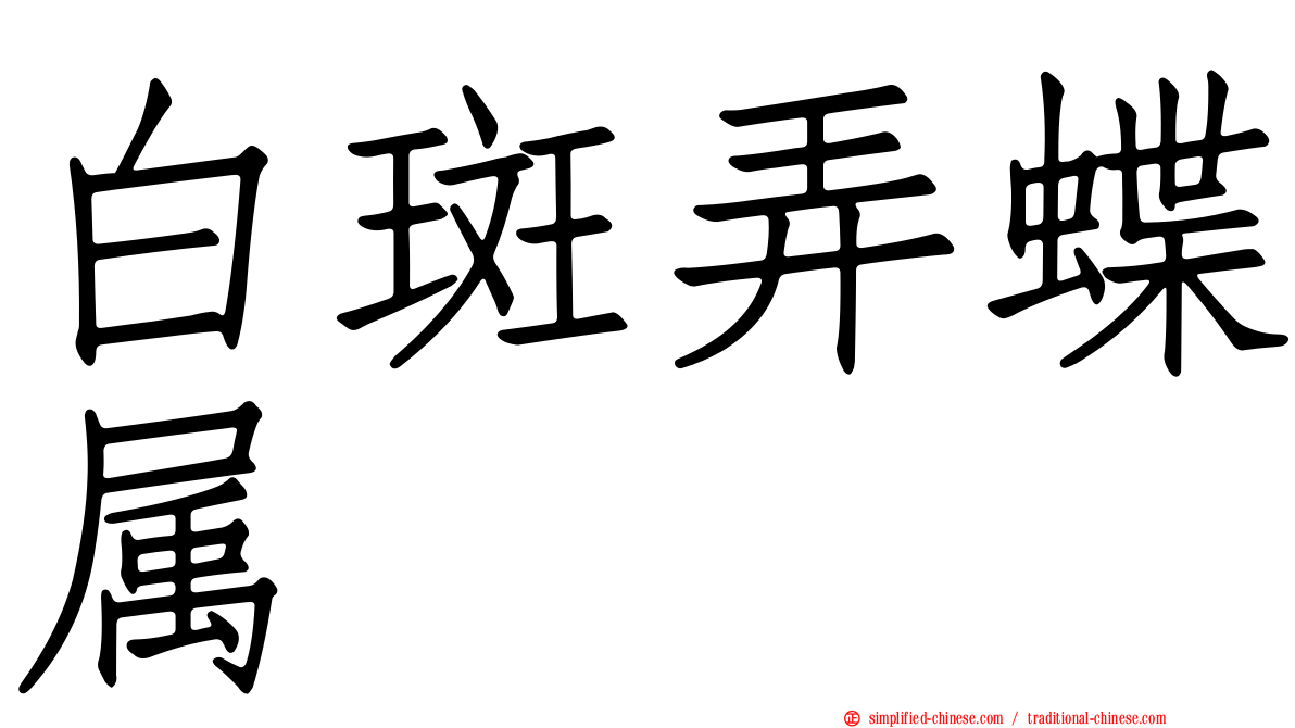 白斑弄蝶属