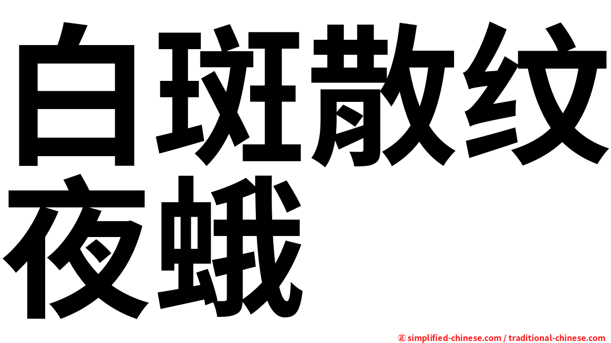 白斑散纹夜蛾