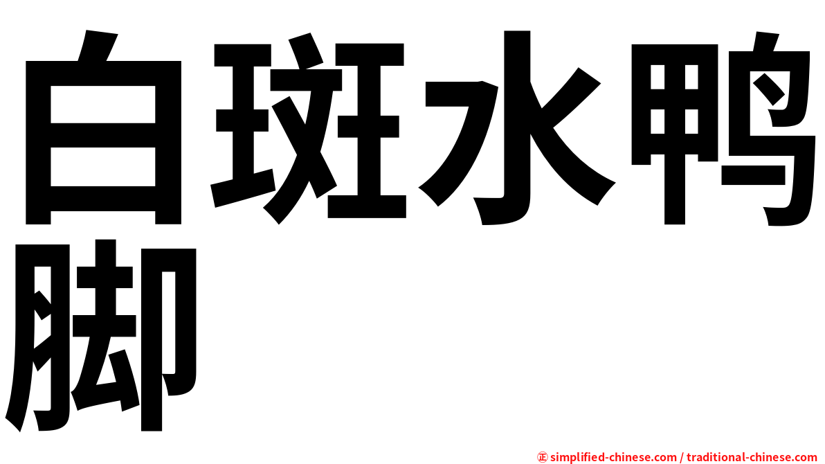 白斑水鸭脚