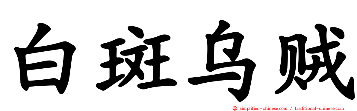 白斑乌贼