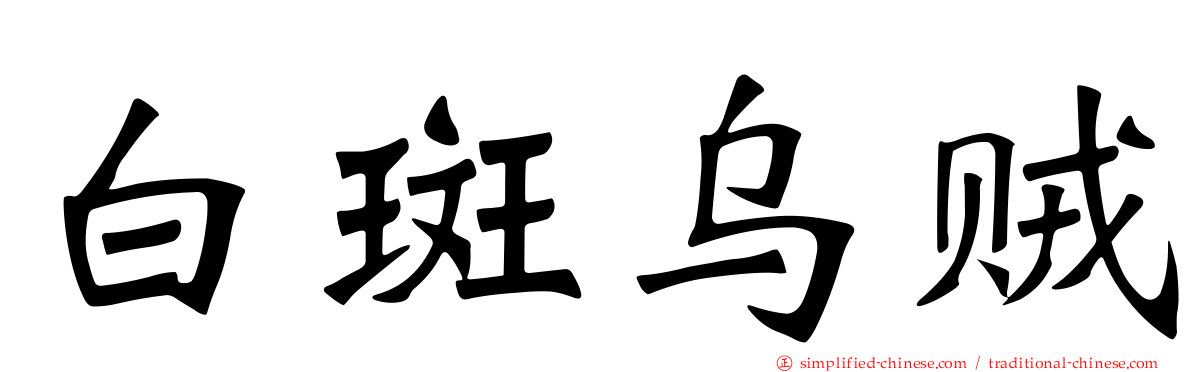 白斑乌贼