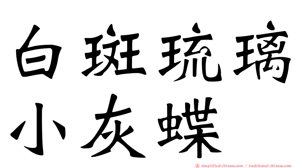 白斑琉璃小灰蝶