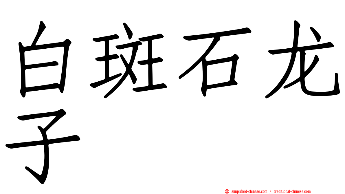 白斑石龙子