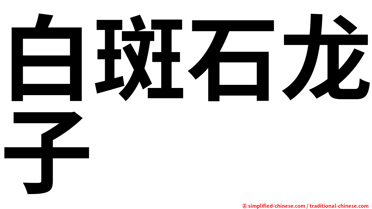 白斑石龙子