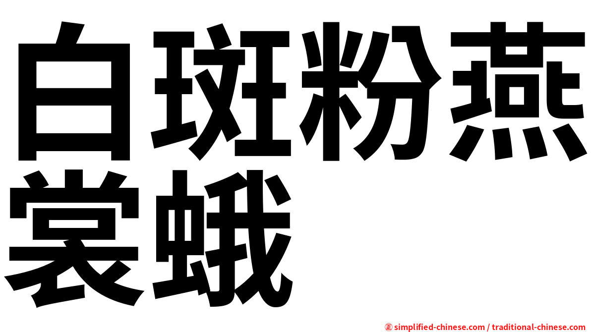 白斑粉燕裳蛾