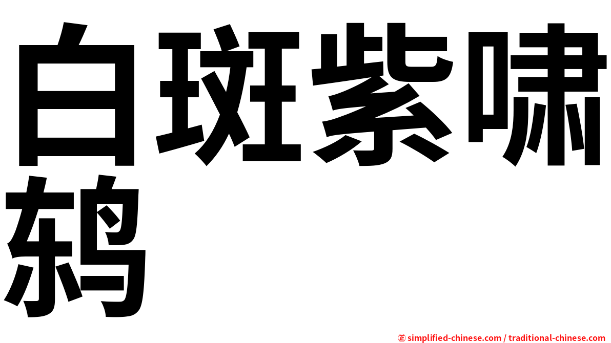 白斑紫啸鸫