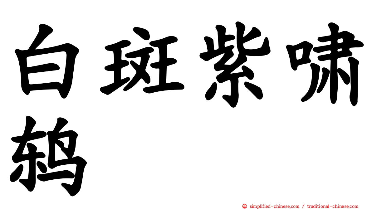 白斑紫啸鸫