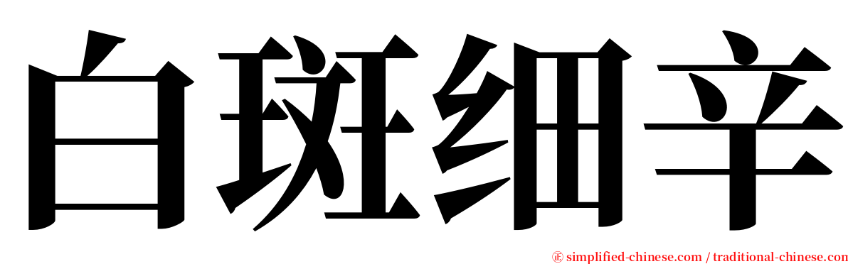 白斑细辛 serif font