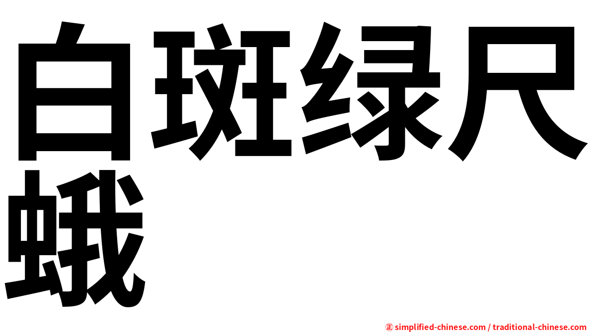 白斑绿尺蛾